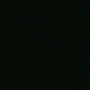 Meet your Posher, Shelby